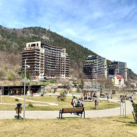 Nature Escape Apartment Брашов Екстер'єр фото
