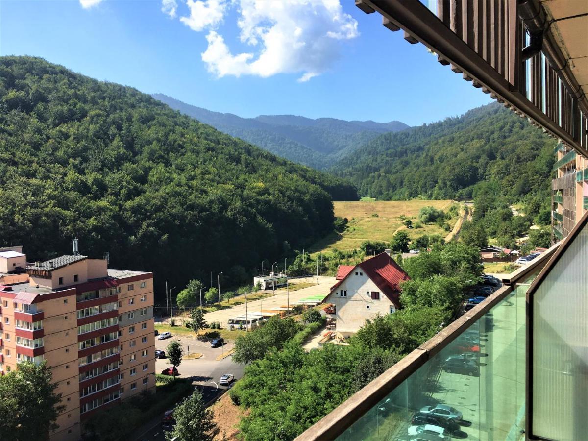 Nature Escape Apartment Брашов Екстер'єр фото