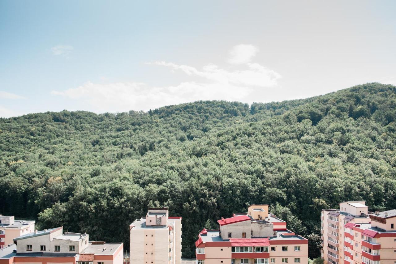 Nature Escape Apartment Брашов Екстер'єр фото